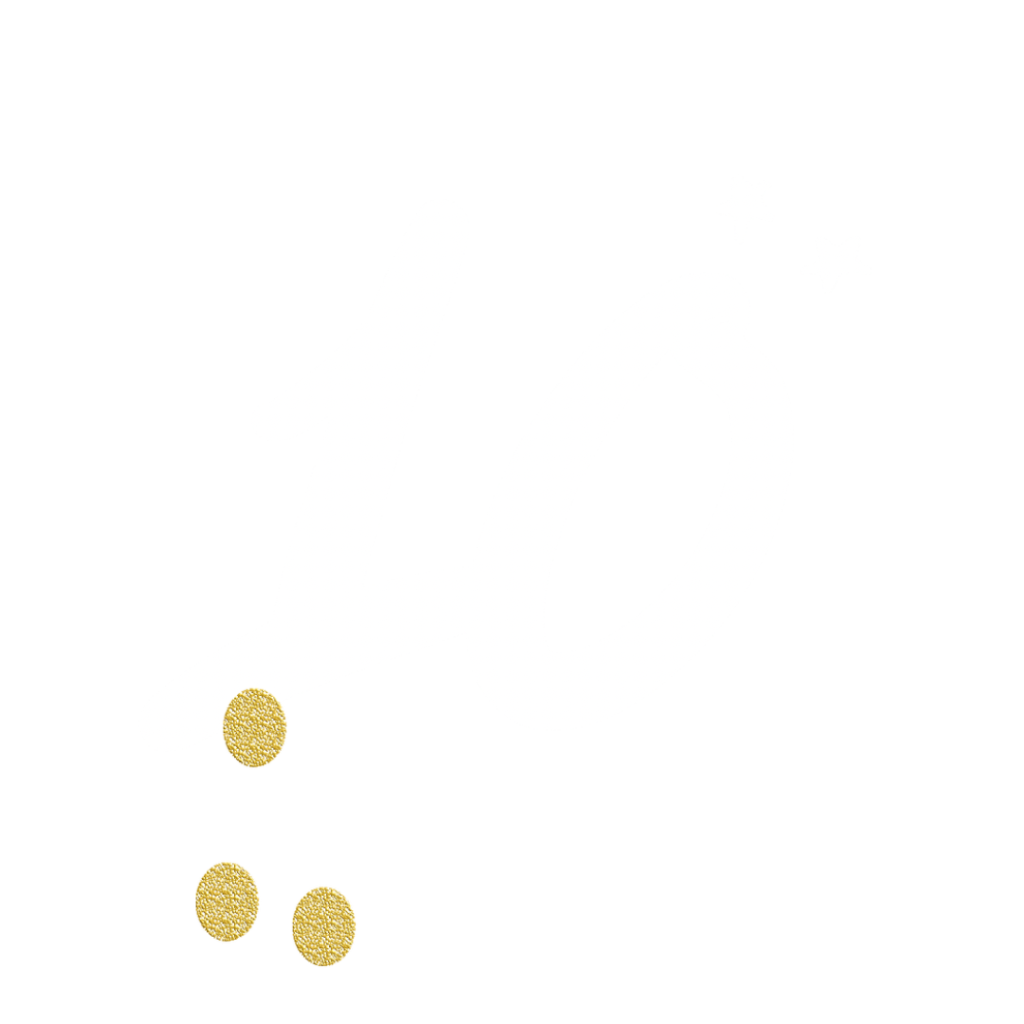 adventskalender-instagram-post-in-hellem-modernem-stil-in-beige-gold-schwarz-design-15.png
